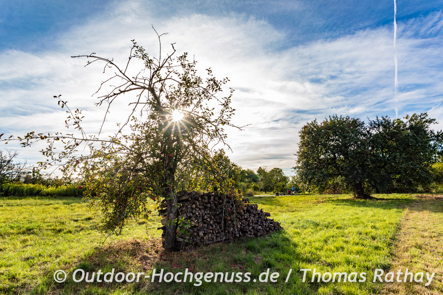 Der Spätsommer zaubert schon schönes Licht.