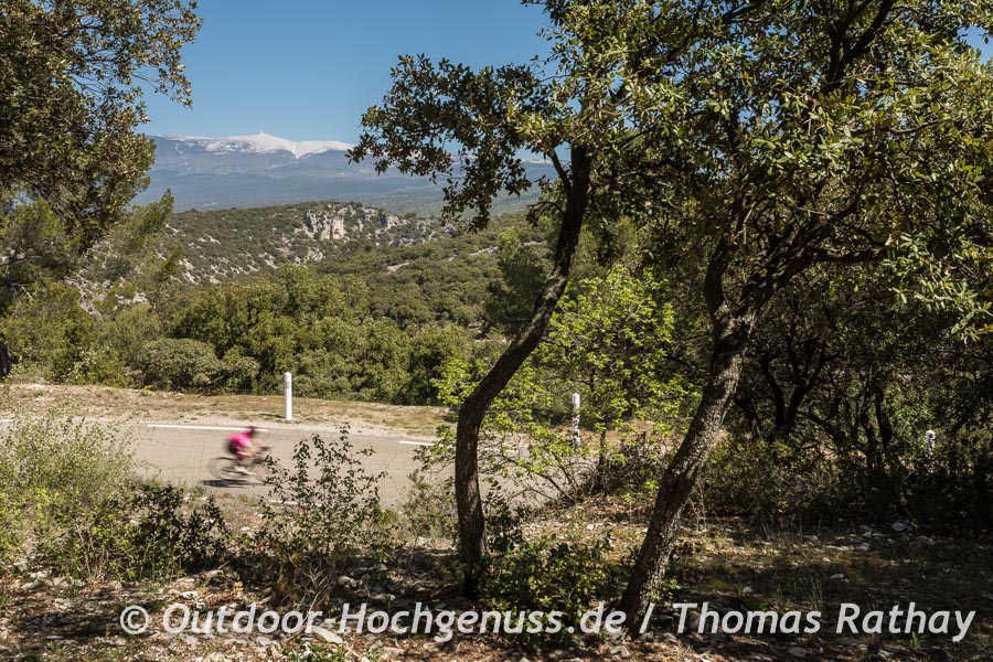Mit dem Fahrrad um den Mont Ventoux