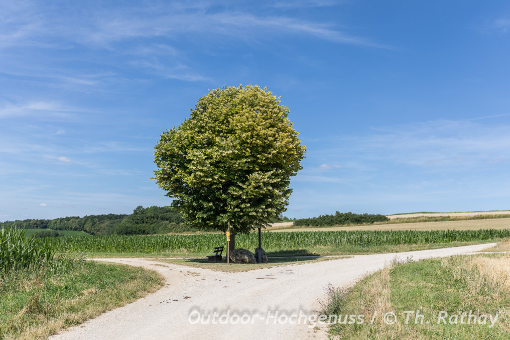 Wandern im Ferienland Donau-Ries