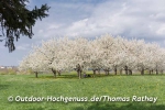 Rathay_fuenf-seidla-steig-franken_003