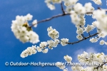 Rathay_fuenf-seidla-steig-franken_004