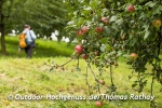 *Alde Gott Panoramarunde* Sasbachwalden