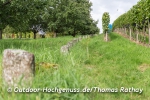 *Alde Gott Panoramarunde* Sasbachwalden