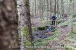Kleiner Bach im Bayerwald