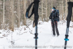 Winterwunderwald