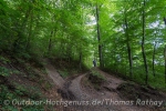 Singletrails auch für Wanderer.
