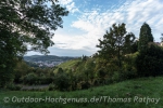 Weinberge und Stadtansichten.