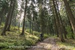 BLOCKLINE - ein kleines MTB-Abenteuer