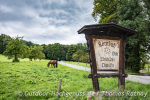 Radreise auf dem Bodensee Königssee Radweg