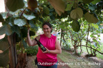 Weingut und Obsthof Schröder