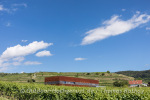 Weingut Abril