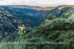 Abendlicher Ausblick in die Gorges du Chassezac