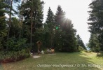 Sonniger Picknickplatz