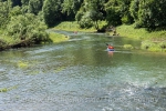 Strömende Donau