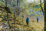 Schöne Waldpassage auf der Donauversinkung