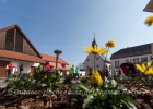 E-Bike Tour Pfalz