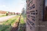 E-Bike Tour Pfalz