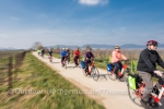 E-Bike Tour Pfalz