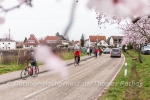 E-Bike Tour Pfalz