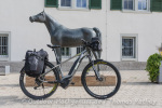 Pferd oder Fahrrad?
