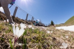 Alpiner Genuss-Fotokurs im Passeiertal.