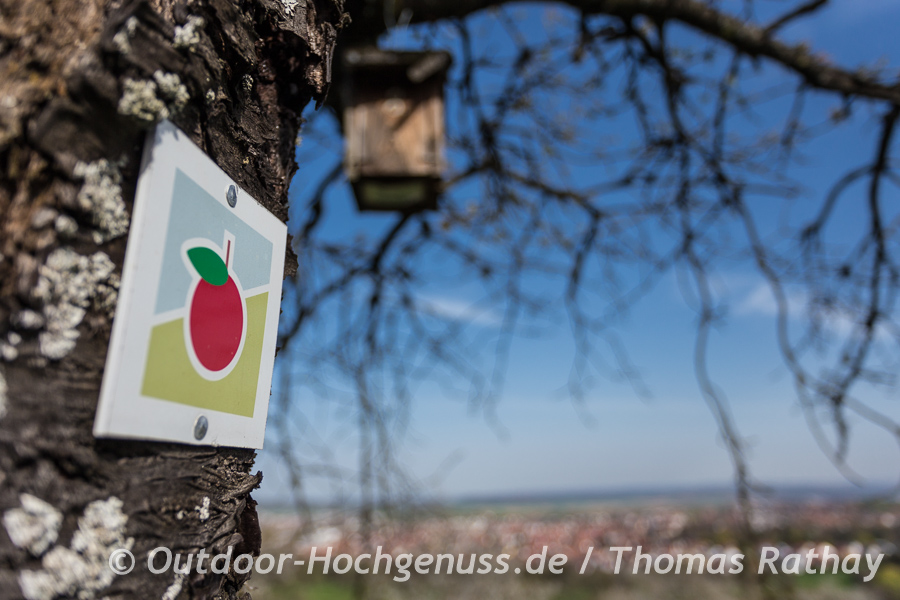 Wandersymbol für den Früchtetrauf "Mössinger Dreifürstensteig"