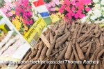 GARTEN outdoor-ambiente