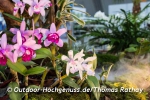 GARTEN outdoor-ambiente