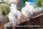 GARTEN outdoor-ambiente
