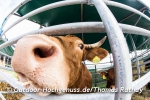 Markt des guten Geschmacks - Slow Food Messe