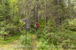 Gleich verschlingt uns der Wald