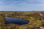 Wandern im Fulufjäll