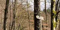 Sackpfeifweg und - hütte