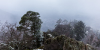 Blick vom Lautenfelsen