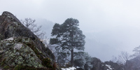 Blick vom Lautenfelsen