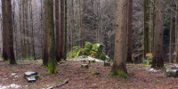 Dachsstein