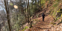 Waldweg