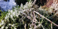 Doch noch Winter!?