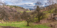 Schloss Eberstein grüßt