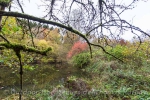 Herbstfarben