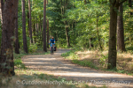 Oft ging es durch schattigen Wald