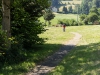 MTB-Pfad neben der Straße