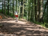 Moutainbike Einlage