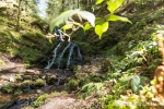 Geniesserpfad Himmelsteig