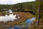 Viel Wald, Wasser und Abenteuer gilt es im Naturreservat zu entdecken