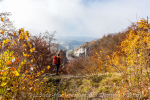 Blick auf Ruine Gutenstein