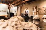 Meteorkratermuseum in Nördlingen, Geopark Ries Radweg