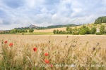 Auch entlang der Schwäbischen Alb führt die Radtour durch den Geopark Ries