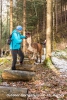 Warum soll ich armes Lama da jetzt über die Stämme gehen?