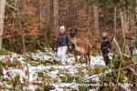Geländegängig sind die Lamas aber.